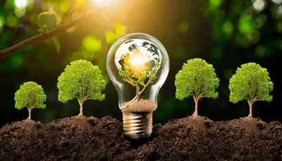 EcoWise: Repurposing & Raw Materials